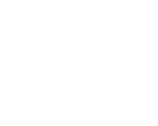 Revolution Laundry